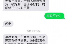 盘龙遇到恶意拖欠？专业追讨公司帮您解决烦恼