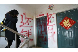 盘龙盘龙的要账公司在催收过程中的策略和技巧有哪些？