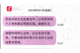 盘龙为什么选择专业追讨公司来处理您的债务纠纷？